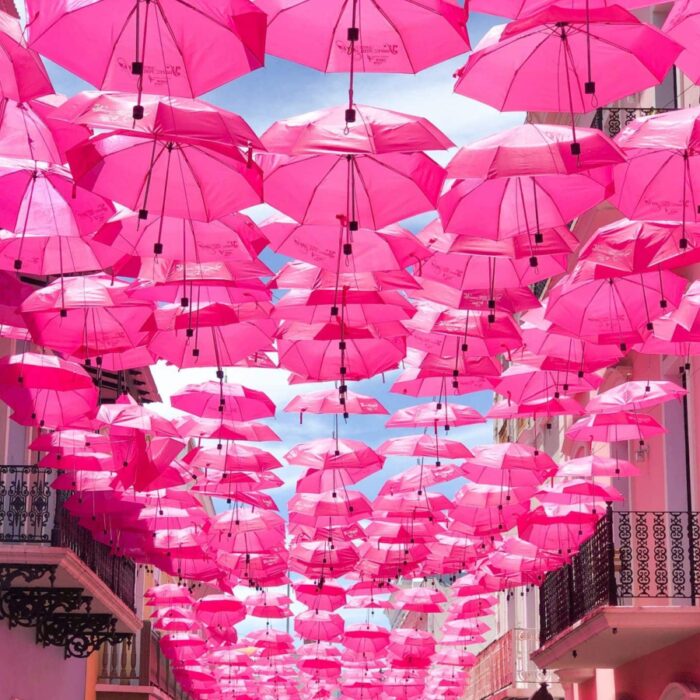 octobre rose parapluies roses