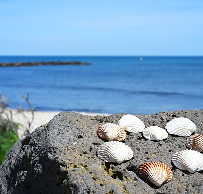 camping la clape village cap d agde nature ecochic