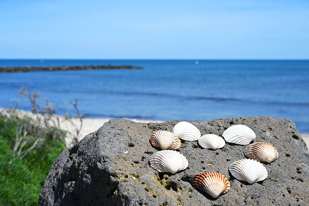 camping la clape village cap d agde nature ecochic