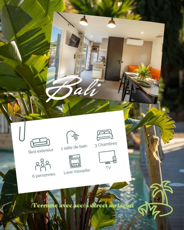 ✨Découvrez nos différents hébergements, du premium au confort ✨

Trouvez l’hébergement qui vous correspond, que vous soyez en famille, en couple ou entre amis😁
Espace, équipements, ambiance, emplacement… chaque détail compte pour des vacances réussies🏝️

Nos hébergements sont pensés pour allier confort, modernité et praticité.
Selon la gamme choisie, certaines options sont incluses et d’autres peuvent être ajoutées : linge de lit, équipements bébé, présence d’un chien (sous conditions) ou forfait ménageménage✨

Des cottages tribu sont également disponibles, parfaits pour les grandes familles ou les séjours entre amis🎉

✨ Découvrez sans attendre nos hébergements au Camping La Clape Village et trouvez celui qui fera de vos vacances un moment inoubliable !🌿

🔗 Plus d’infos et réservations :
https://camping-laclape.com/
📞 04 67 26 41 32

#capdagede #vacancesenfamille #vacances2026 #campinglaclapevillage #cottageparks #camping #Souvenirs #vuemer #mobilhomesvacances