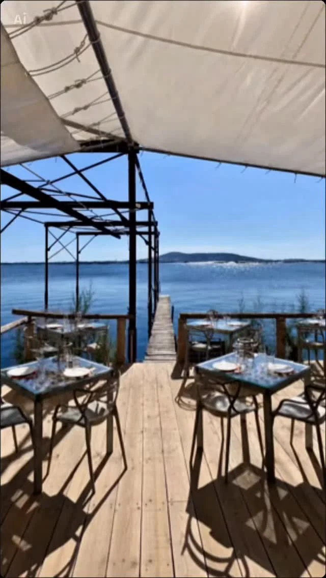 🦪 Escapade gourmande autour de l’Étang de Thau 🌊✨

À seulement 30 min d’Agde et du Cap d’Agde, partez à la découverte de l’Étang de Thau et vivez une expérience 100% locale : dégustation d’huîtres directement chez les ostréiculteurs à Pignan 🐚🍋

Un moment authentique entre mer, soleil et saveurs méditerranéennes… parfait pour découvrir les trésors de notre région pendant votre séjour à La Clape Village ✨

Qui serait tenté par une dégustation les pieds presque dans l’eau ? 😍

#EtangDeThau #Ostréiculture #campingsudfrance #campingfamily