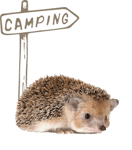 La clape Village Camping à Agde - Enfant - jeunesses -activités