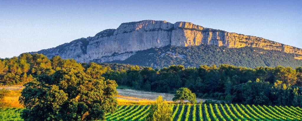 vignoble pic saint loup herault crt occitanie