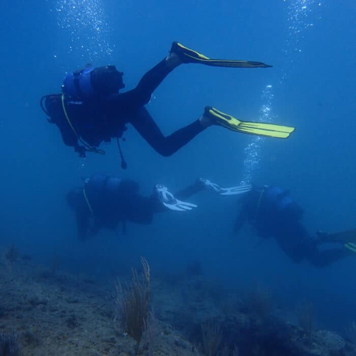 initiation plongee sous marine agde