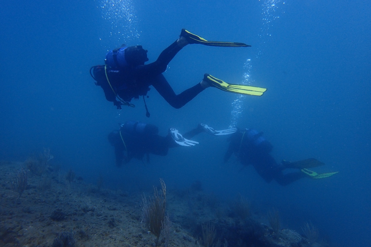 initiation plongee sous marine agde