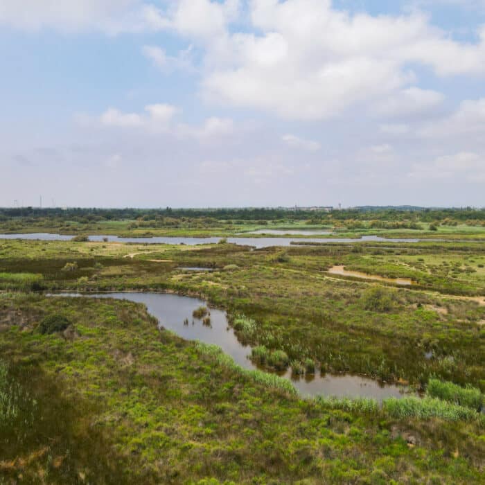 les-verdisses-paysage-camping-agde