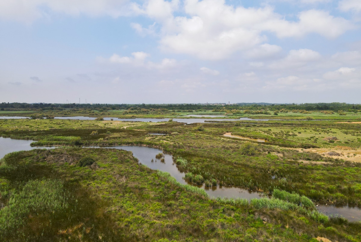 les-verdisses-paysage-camping-agde