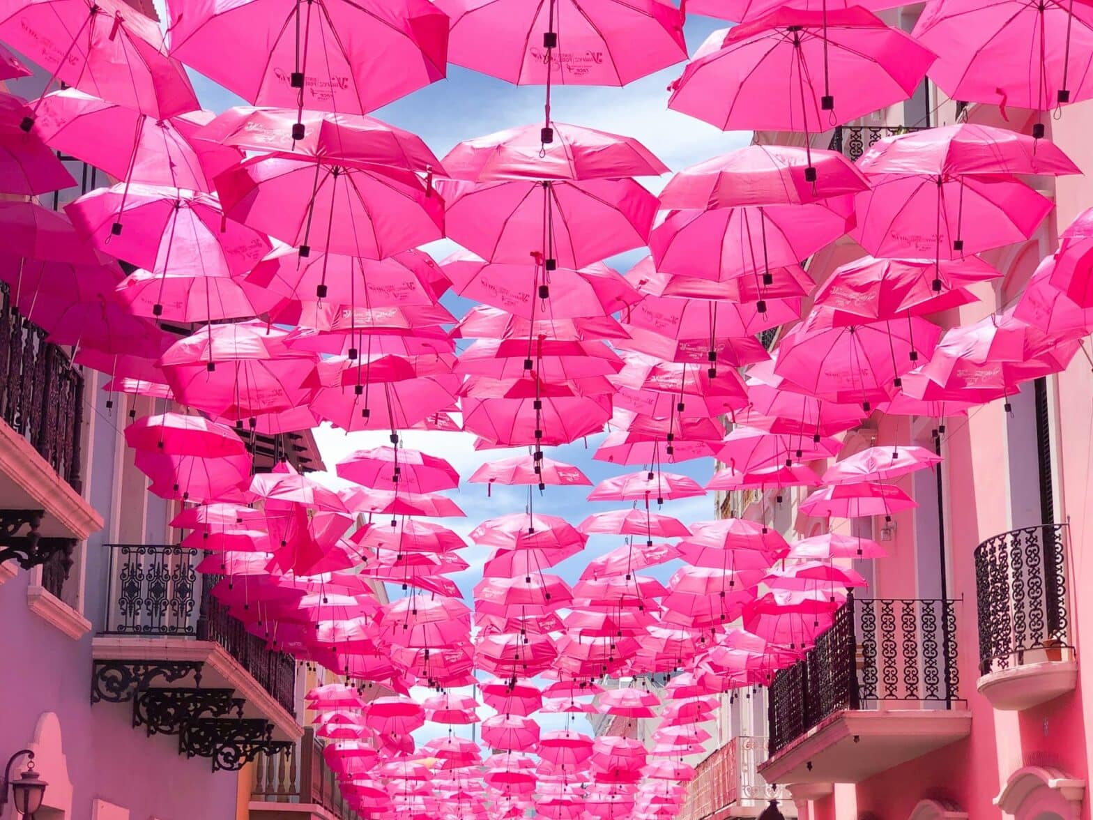 octobre rose parapluies roses