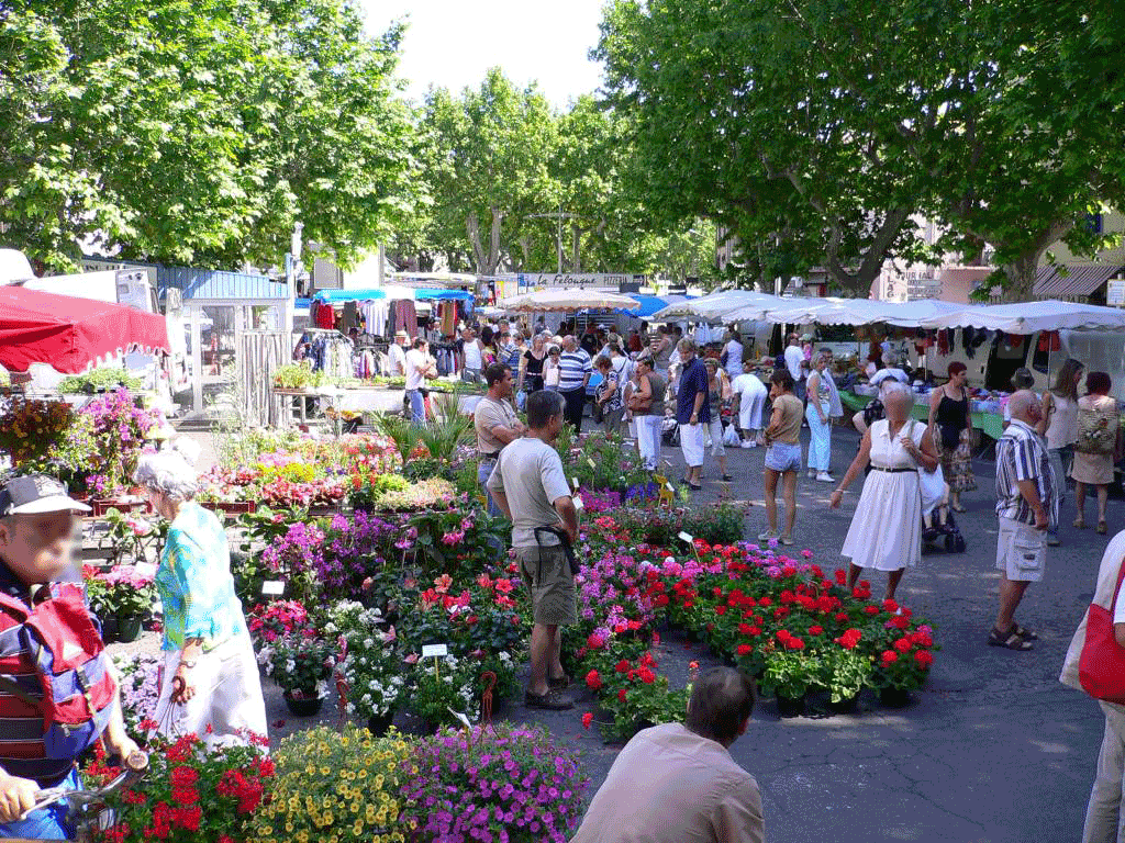 marché fleurs agde