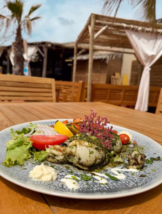 restaurant cap d'agde plat du jour camping la clape village